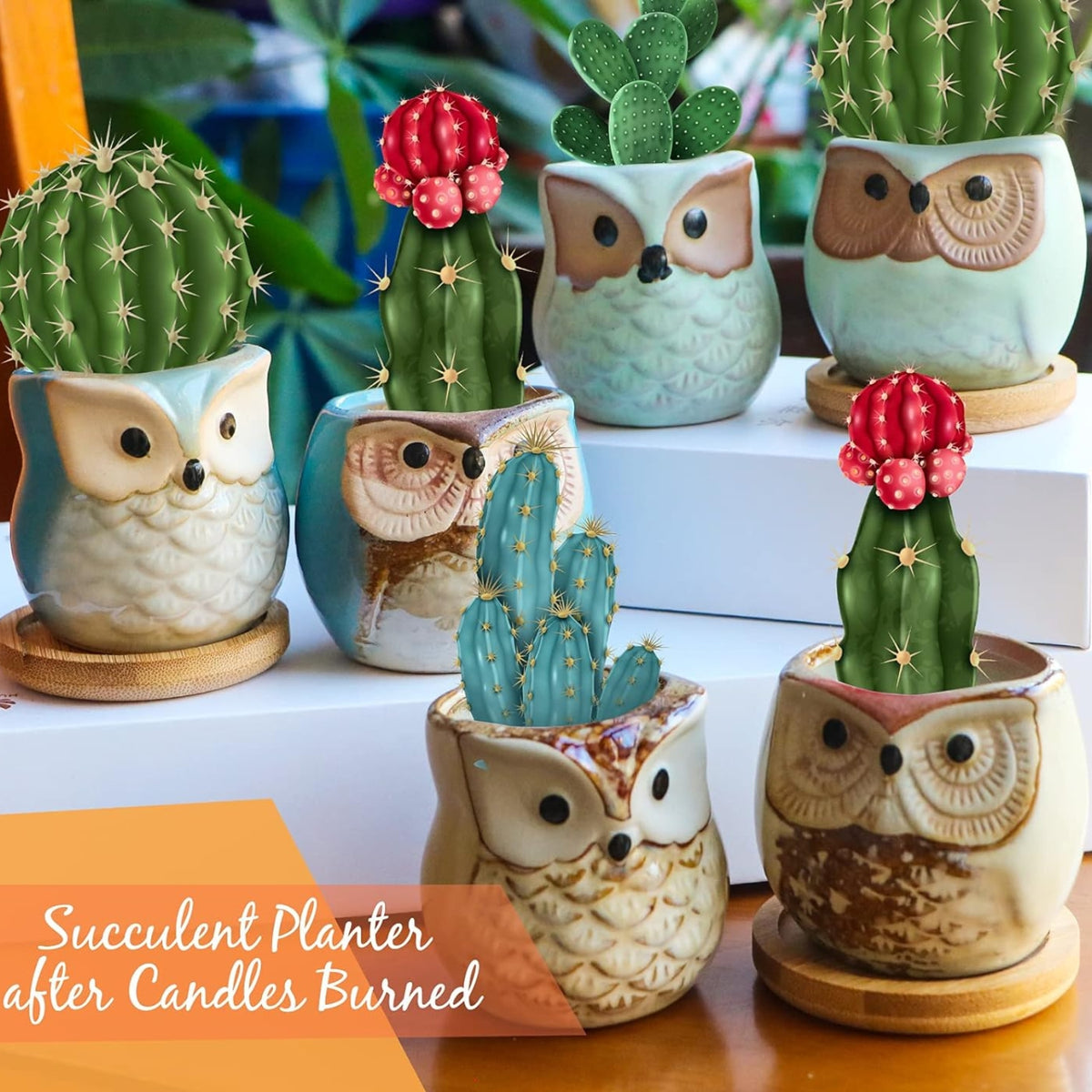 Eulen Kerzen Duftkerzen Set Geschenkset Frauen 6 Stück Citronella Outdoor Indoor
