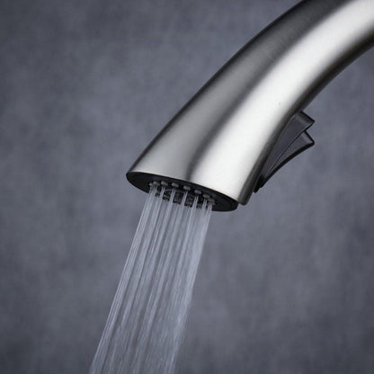 Drehbarer Küchenwasserhahn mit Ausziehbarer Brausearmatur