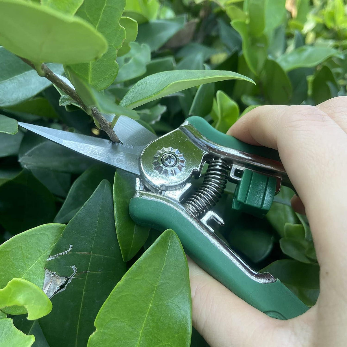 Gartenschere Grün mit Soft-Touch-Griff für Bonsai & Blumen