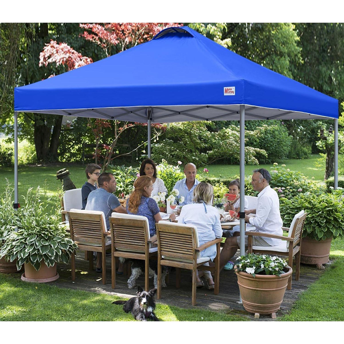 Pop-up Pavillon 2,5x2,5m – Höhenverstellbar & Wasserabweisend
