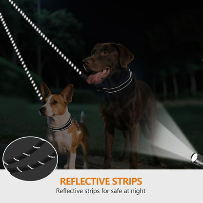 Doppelte Hundeleine Reflektierend 75cm Schwarz