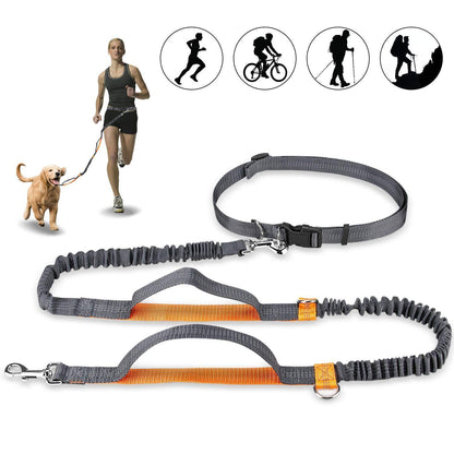Freihändige Hundeleine mit Bungee & Reflektoren (Orange)