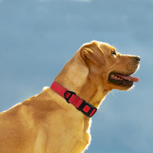 Taglory Hundehalsband Neopren Nylon Reflektierend Große