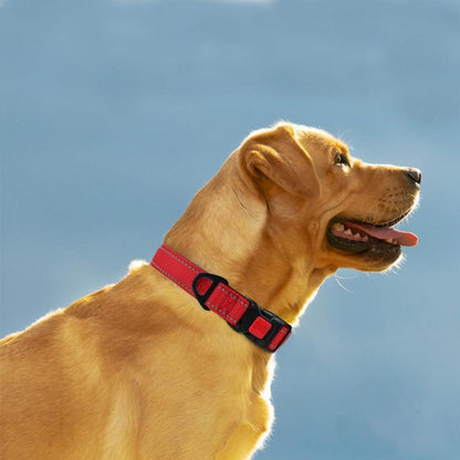 Taglory Hundehalsband Neopren Nylon Reflektierend Große