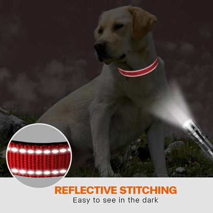 Hundehalsband Neopren Nylon Gepolstert Reflektierend Rot Größe L