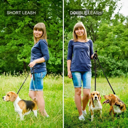 Freihandleine für kleine mittelgroße Hunde 2.5m verstellbar Schwarz