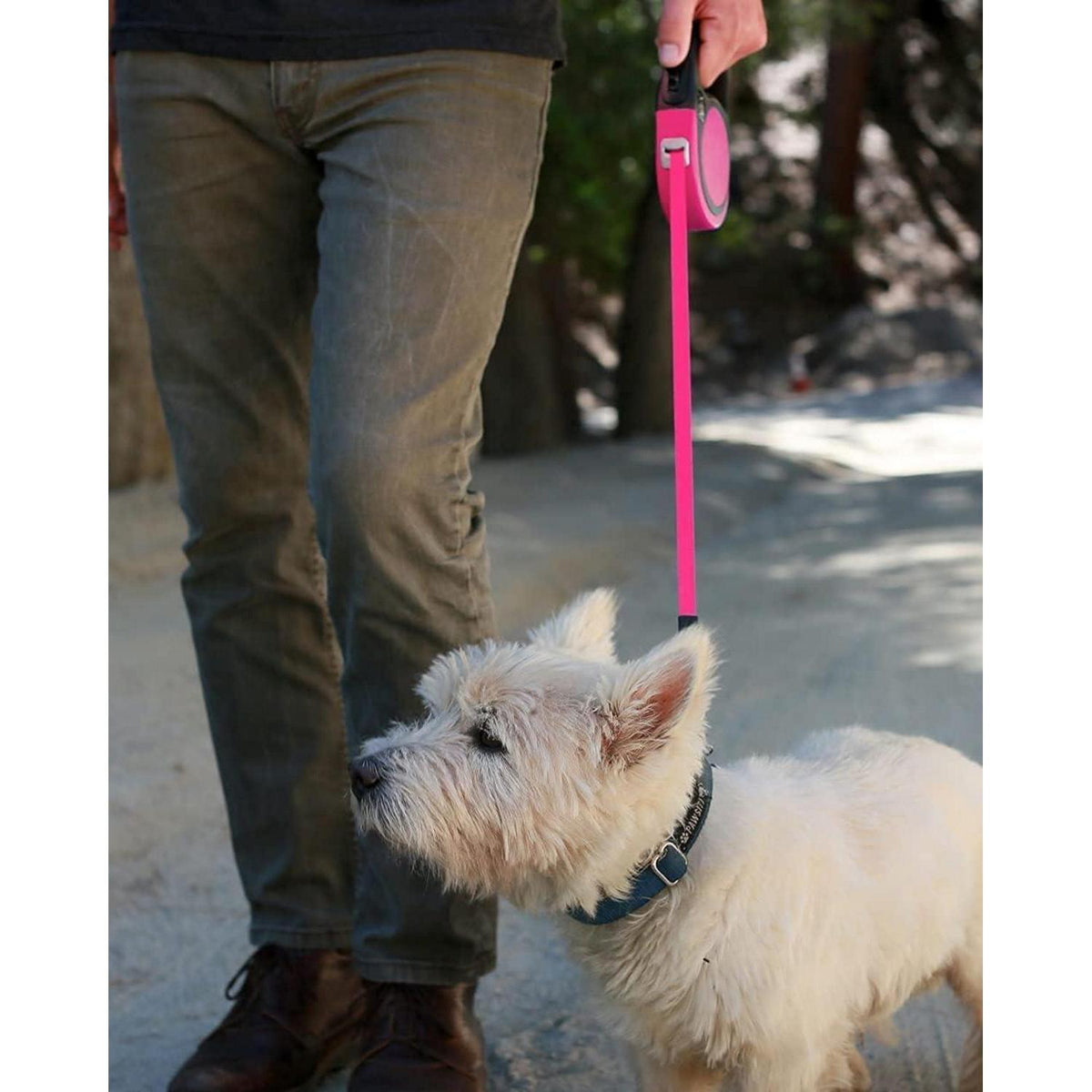 Ausziehbare Hundeleine für kleine/mittelgroße Hunde bis 20kg, 5m, Rosa