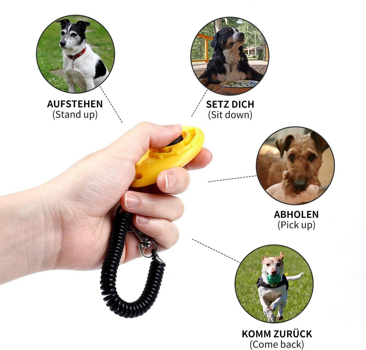 Toozey Hunde Clicker Trainings Klicker Großer Knopf Orange Rot Gelb Blau Schwarz