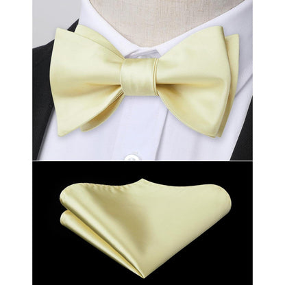 Herren Fliege Einstecktuch Champagner Accessoire Set