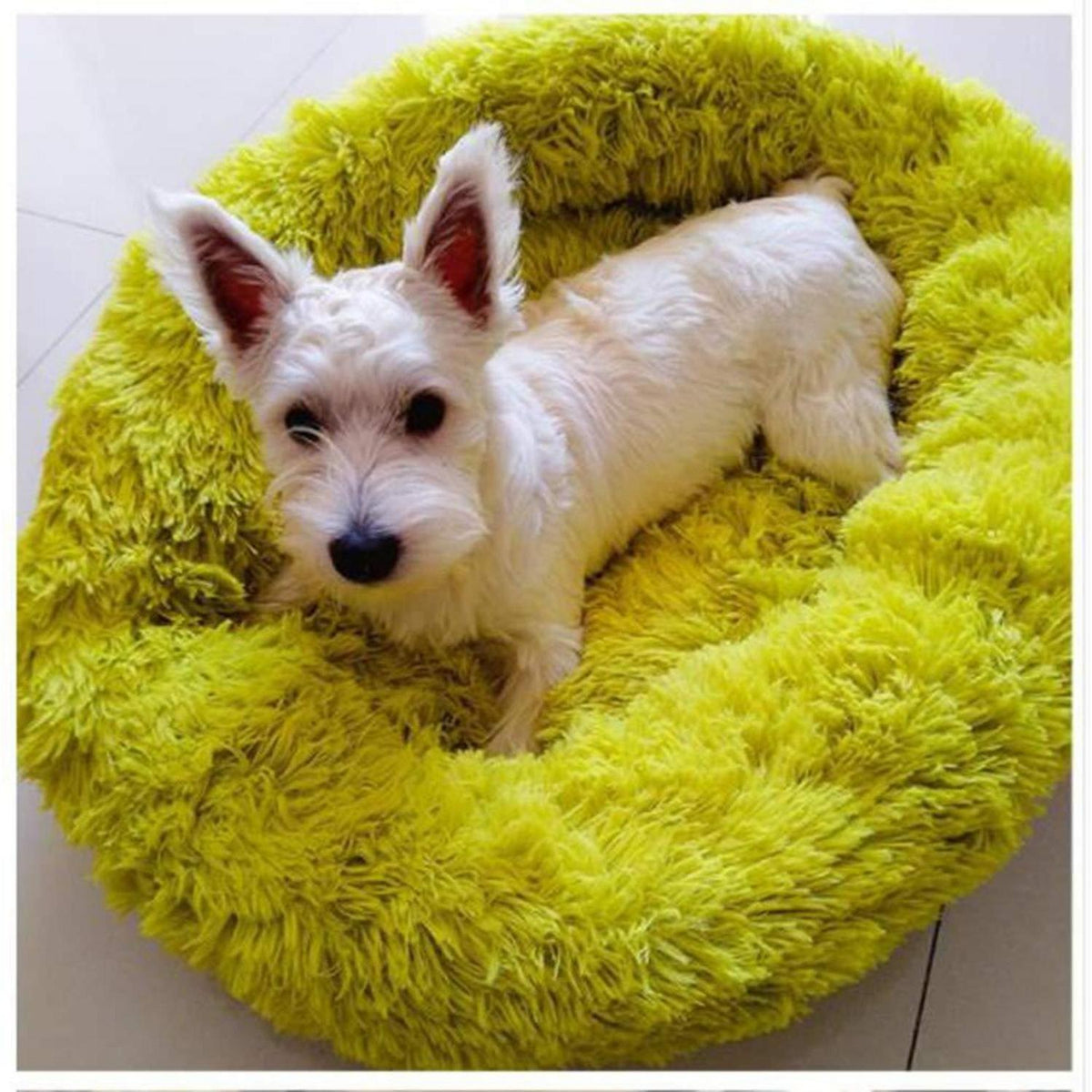 Rundes Hundebett Deluxe Plüsch – XXL 120cm Grün