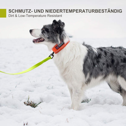 Schleppleine Hunde 20m Wasserdicht Neon Gelb Spike Design