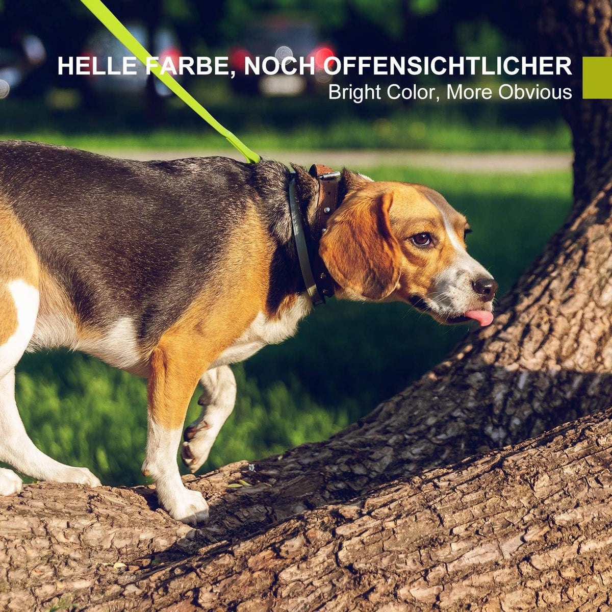Schleppleine für Hunde 20m Wasserdicht und