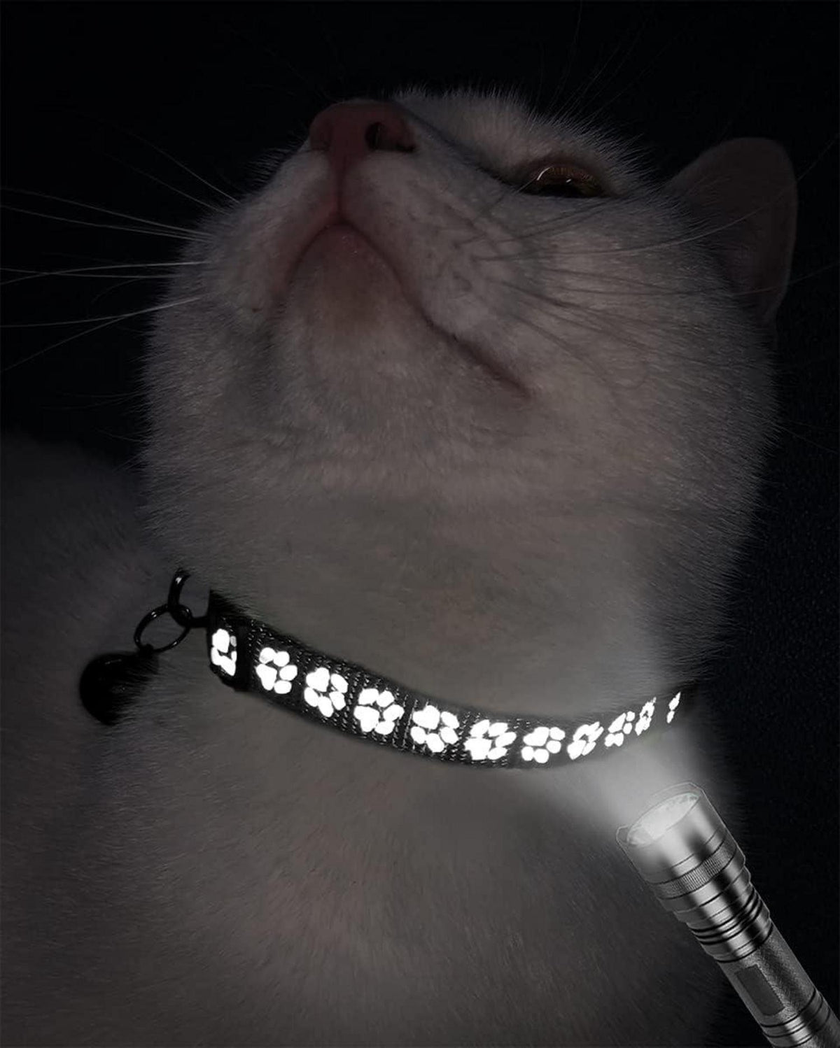 Reflektierendes Katzenhalsband 2er Pack Schwarz Verstellbar Halsband Kitten