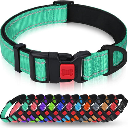 Hundehalsband Neopren Gepolstert Verstellbar Türkis L