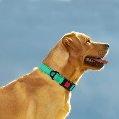 Hundehalsband Neopren Gepolstert Verstellbar Türkis L