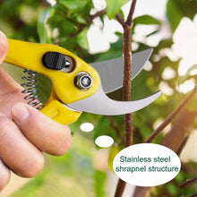 Bonsai Werkzeug Kit 13 teilig Scheren Draht Mini Werkzeuge