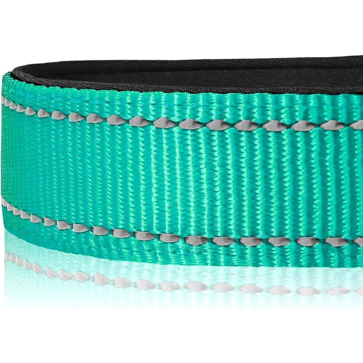 Hundehalsband Neopren Gepolstert Verstellbar Reflektierend Türkis