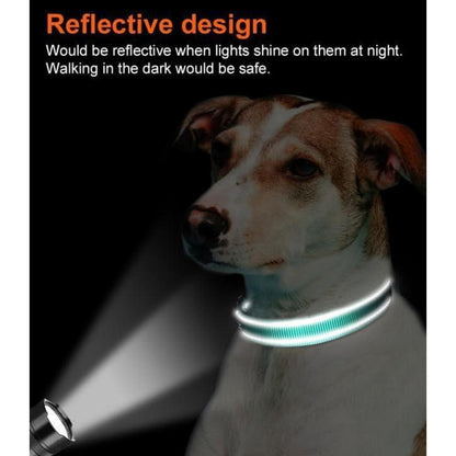 Hundehalsband Neopren Gepolstert Verstellbar Reflektierend Türkis