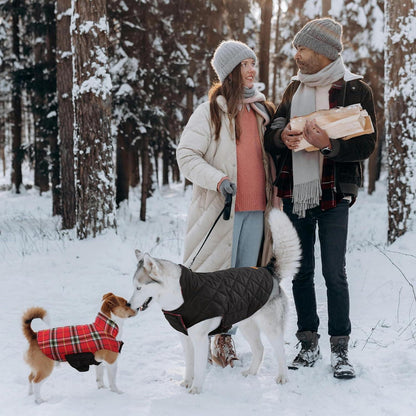 Hundemantel Winter Wasserdicht und Warm, Kariertes