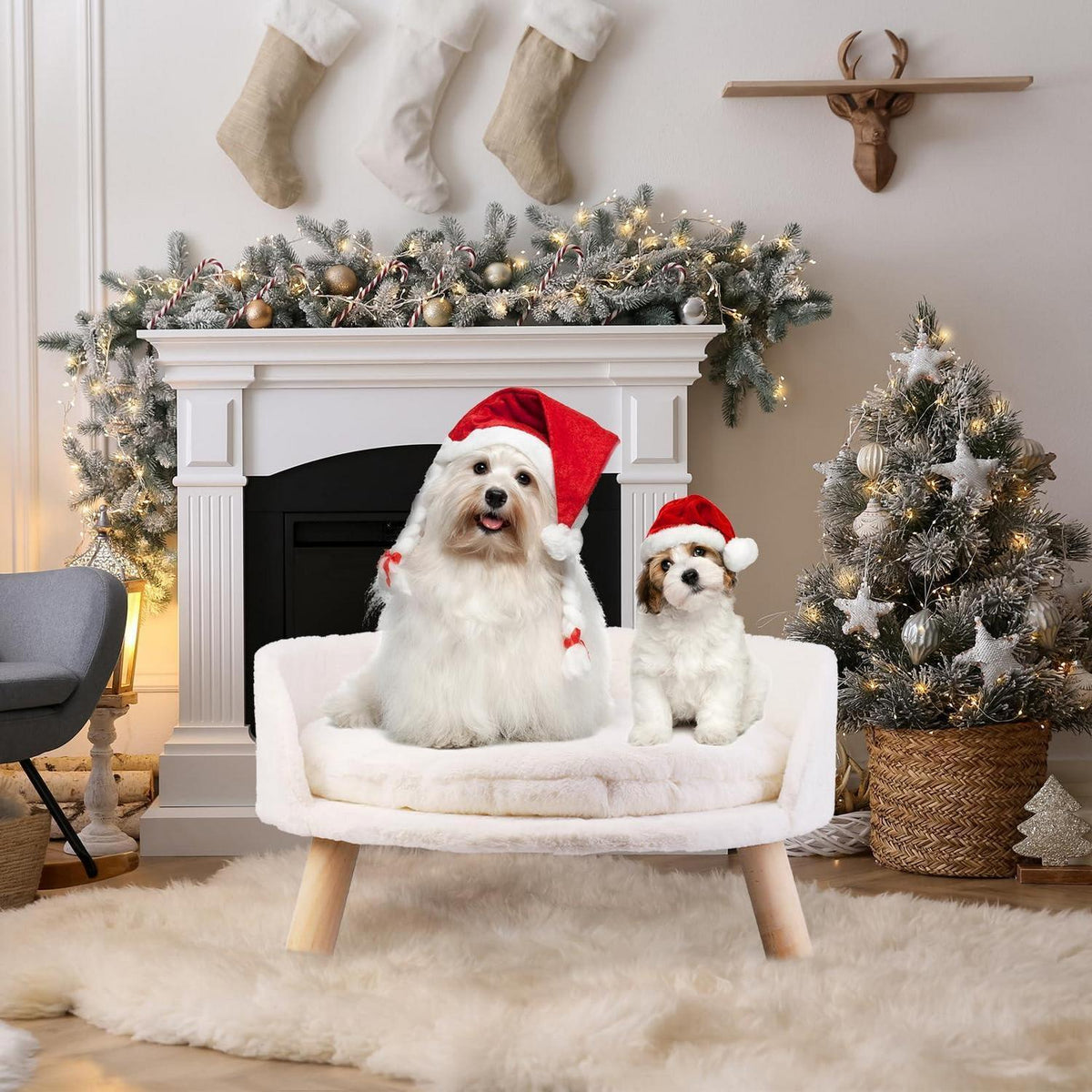 Hundesofa erhöht mit Kissen – Bequemes Katzensofa weiß