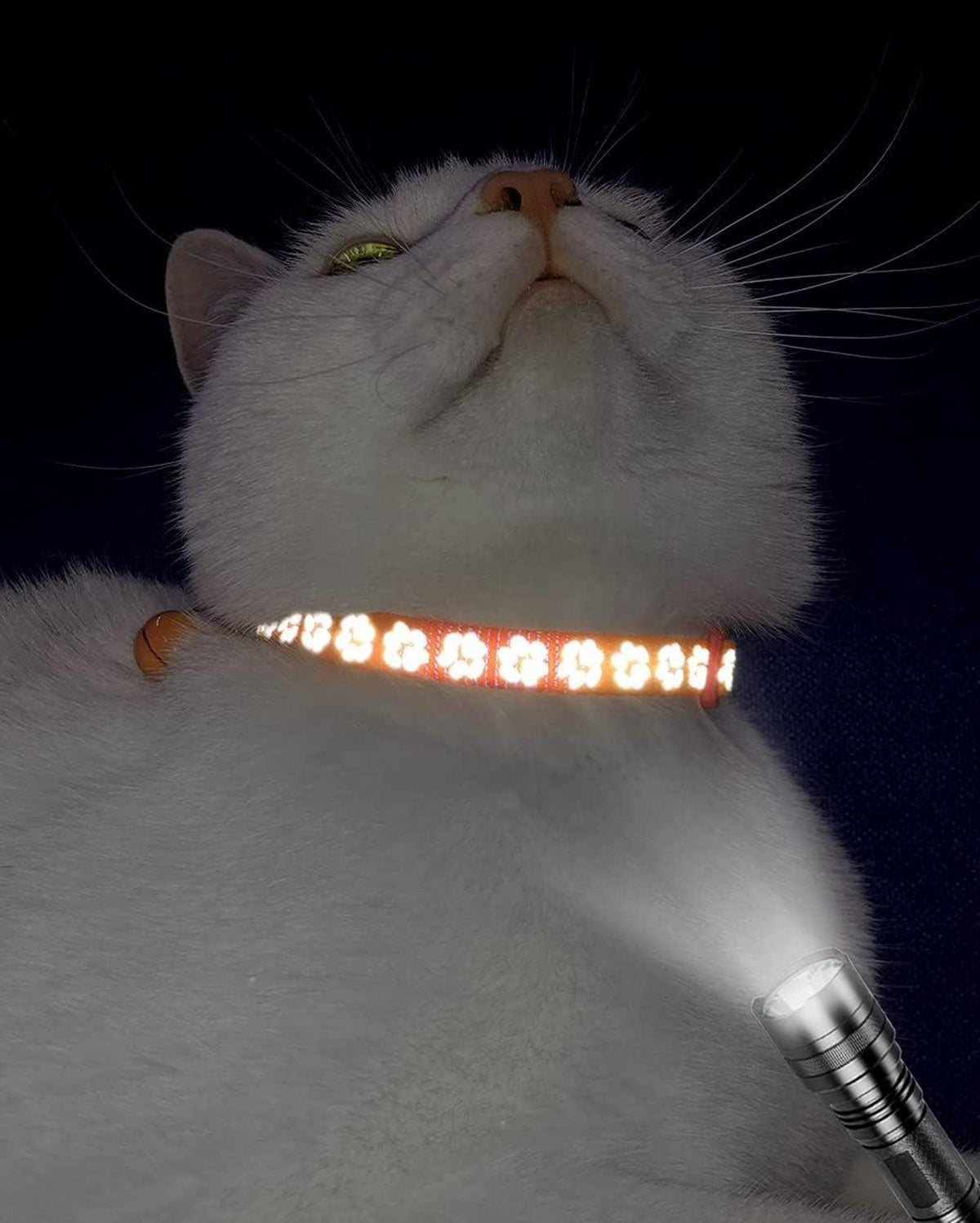 Taglory Reflektierendes Katzenhalsband mit Sicherheitsverschluss und