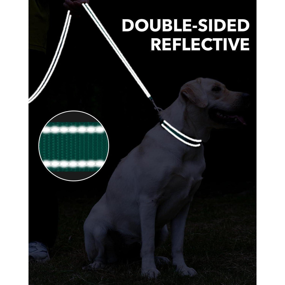 Hundeleine gepolstert reflektierend für große Hunde Türkis 1.2m
