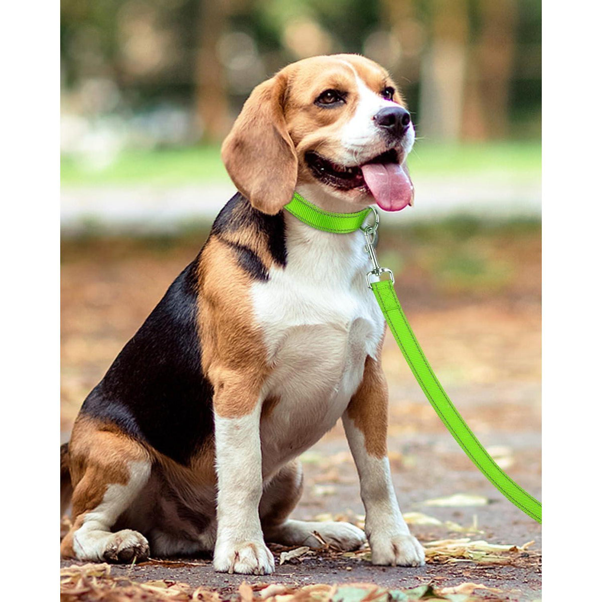 Hundeleine Reflektierend Gepolsterter Griff Grün 1.2m