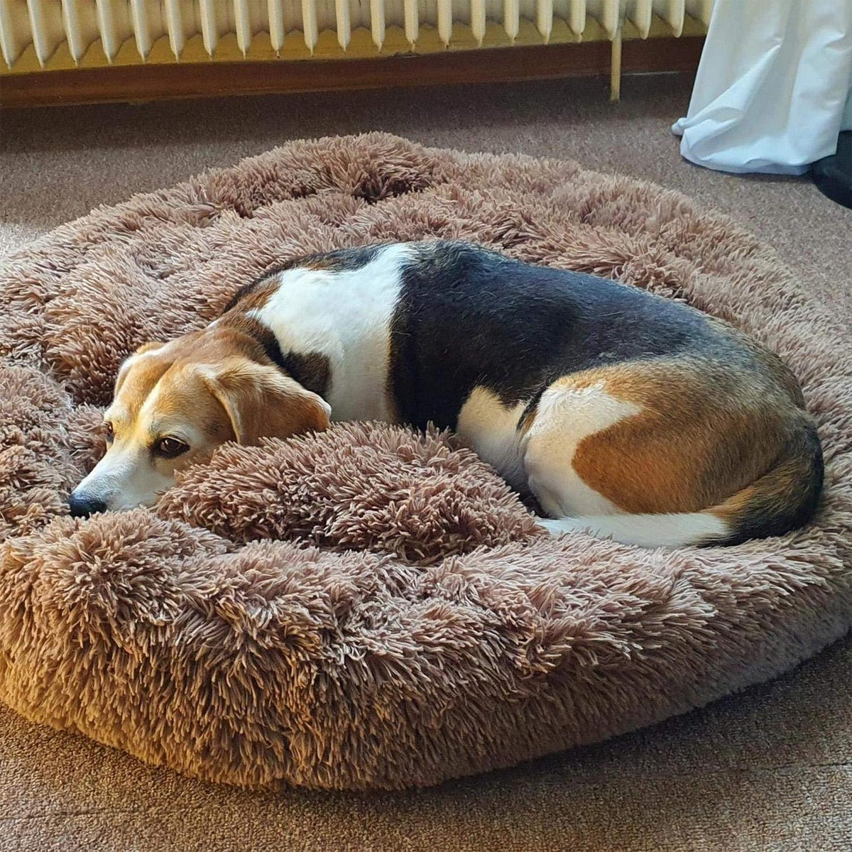 Orthopädisches Hundebett XXXL – Waschbar & Kuschelig