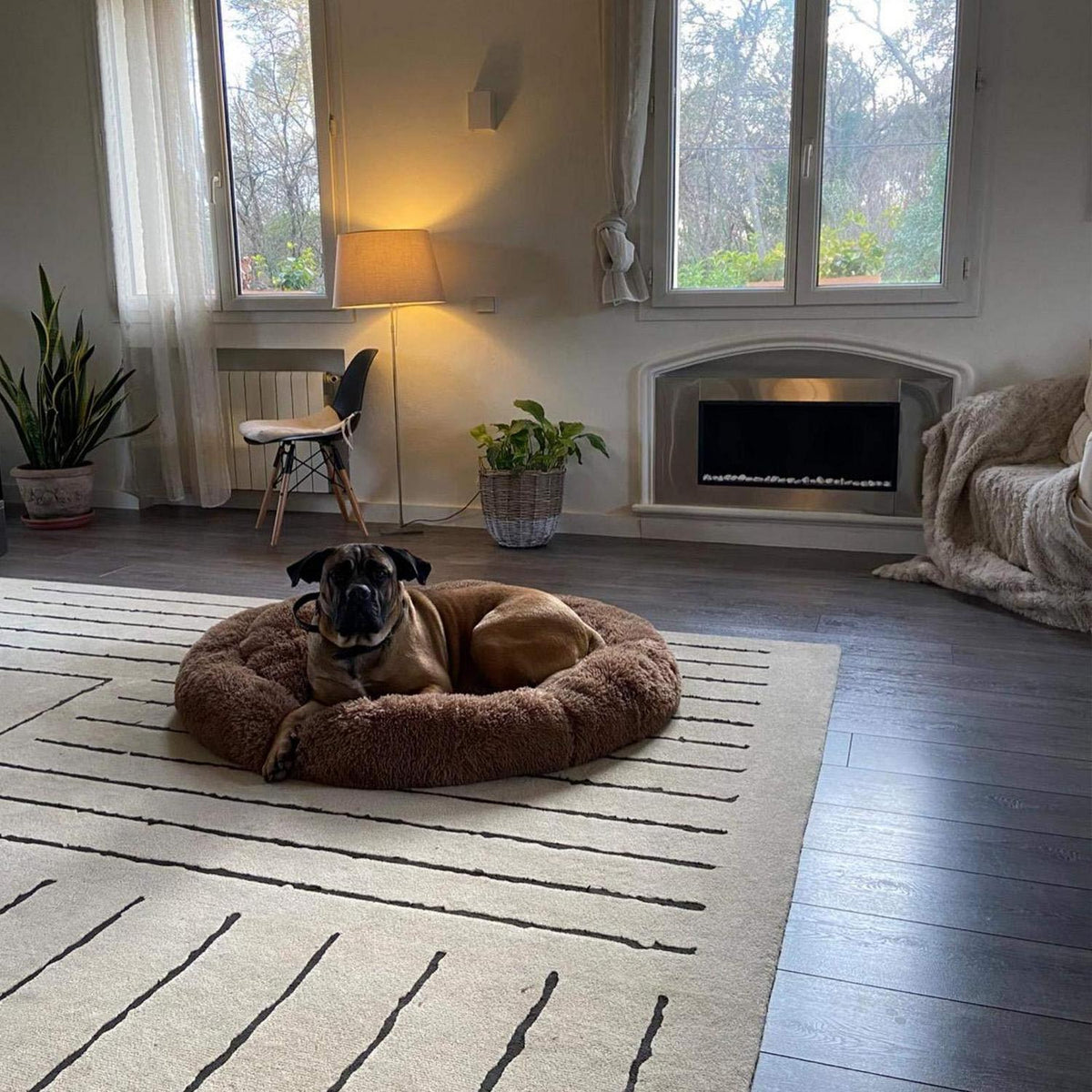 Orthopädisches Hundebett XXXL – Waschbar & Kuschelig