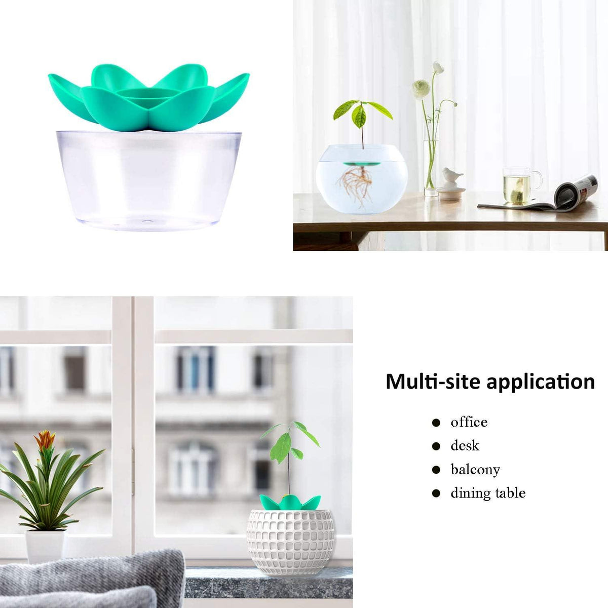 Herefun Avocado Pflanzen Geschenk Anzucht Garten Werkzeug Set