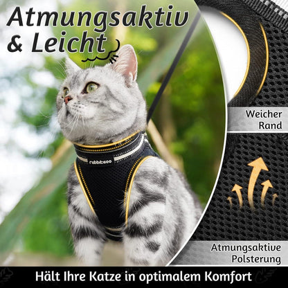 Katzengeschirr mit Leine, ausbruchsicher, verstellbar, L, Schwarz