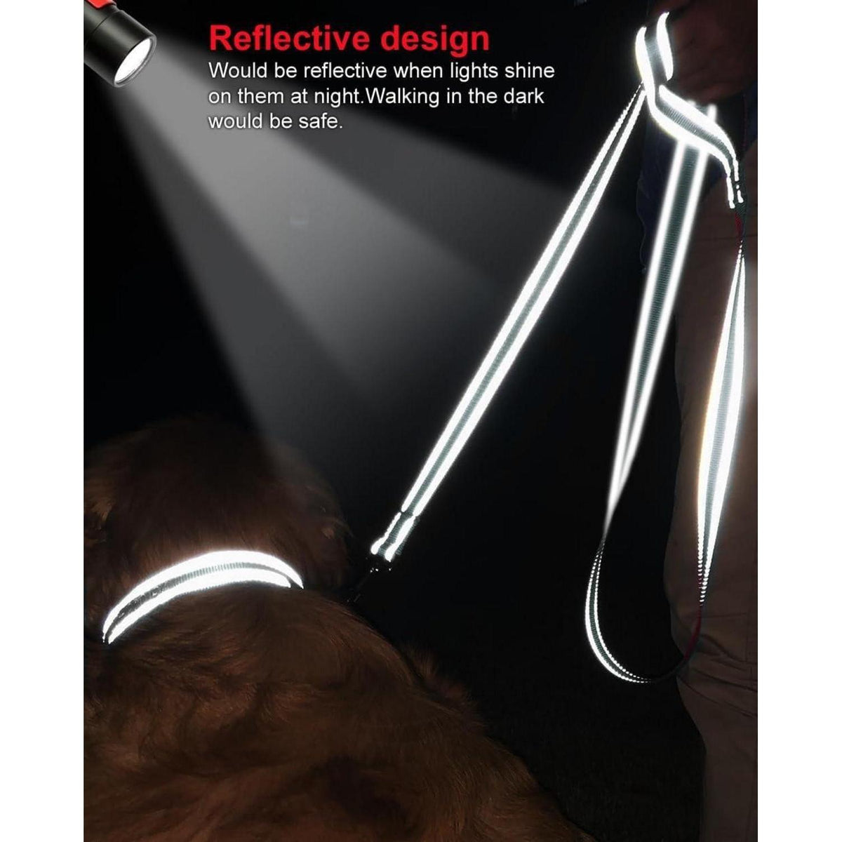 Hundeleine Reflektierend Gepolsterter Griff Grau 1,5m
