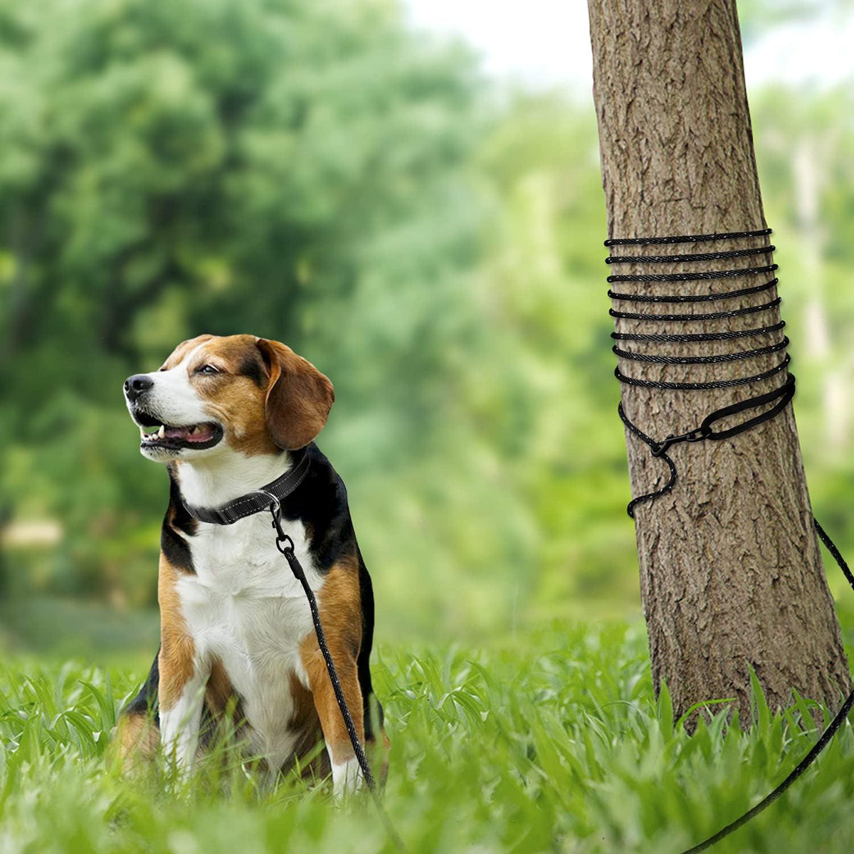 Reflektierende Schleppleine für Hunde 10m Gepolsterter Griff Schwarz
