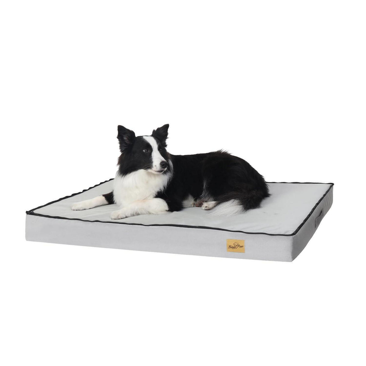 Orthopädisches Hundebett XL – Wasserdicht & Bequem