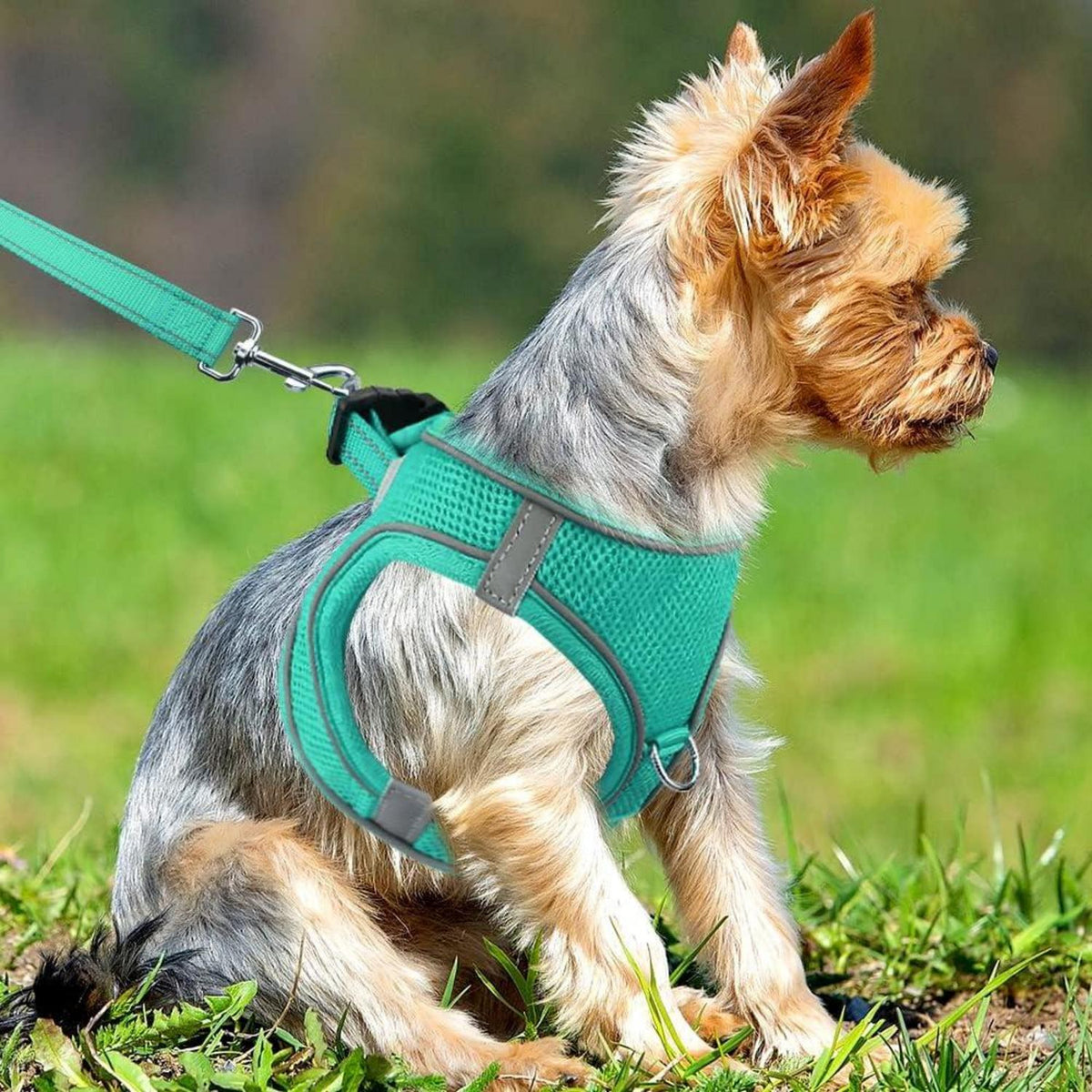 Joytale Hundegeschirr Air-Mesh Reflektierend Weich