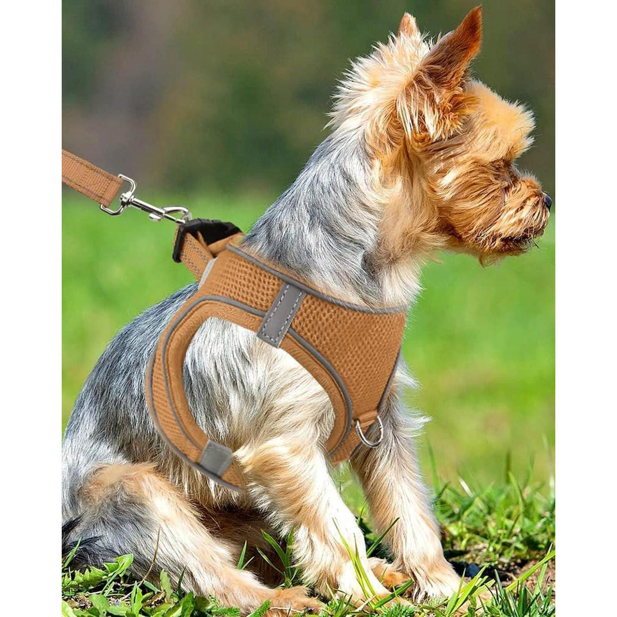 Hundegeschirr Air-Mesh Khaki S