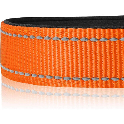 Gepolstertes Hundehalsband Neopren Nylon Verstellbar XL Orange