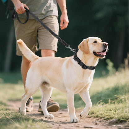 Gepolstertes Hundehalsband aus Neopren & Nylon, verstellbar, reflektierend, XL Schwarz