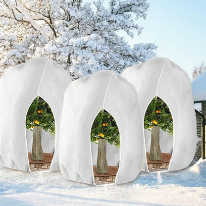 Winterschutz Pflanzenabdeckung 250x360cm - 3er Set