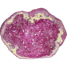Titan beschichteter Kristall Geode Rohstück, Roter Quarz Cluster 100-200g