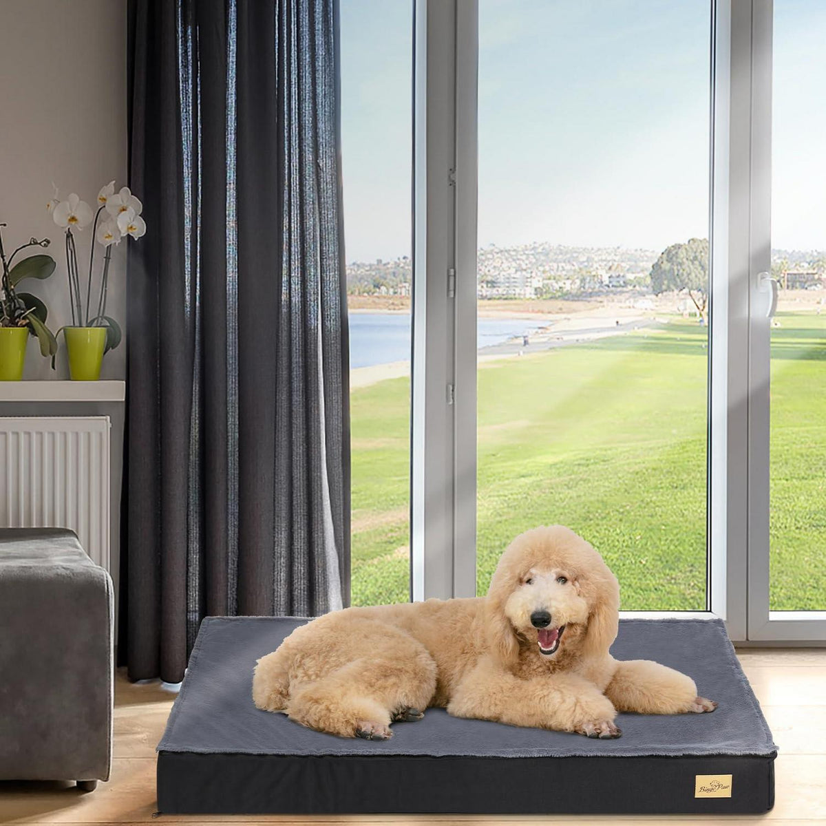 Orthopädisches Hundebett Groß – Waschbar & Rutschfest