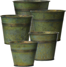 5er Set Vintage Blumentöpfe aus verzinktem Stahl für Innen und Außen