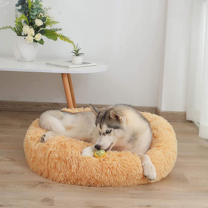 Orthopädisches Hundebett XXL – Waschbar & Kuschelig