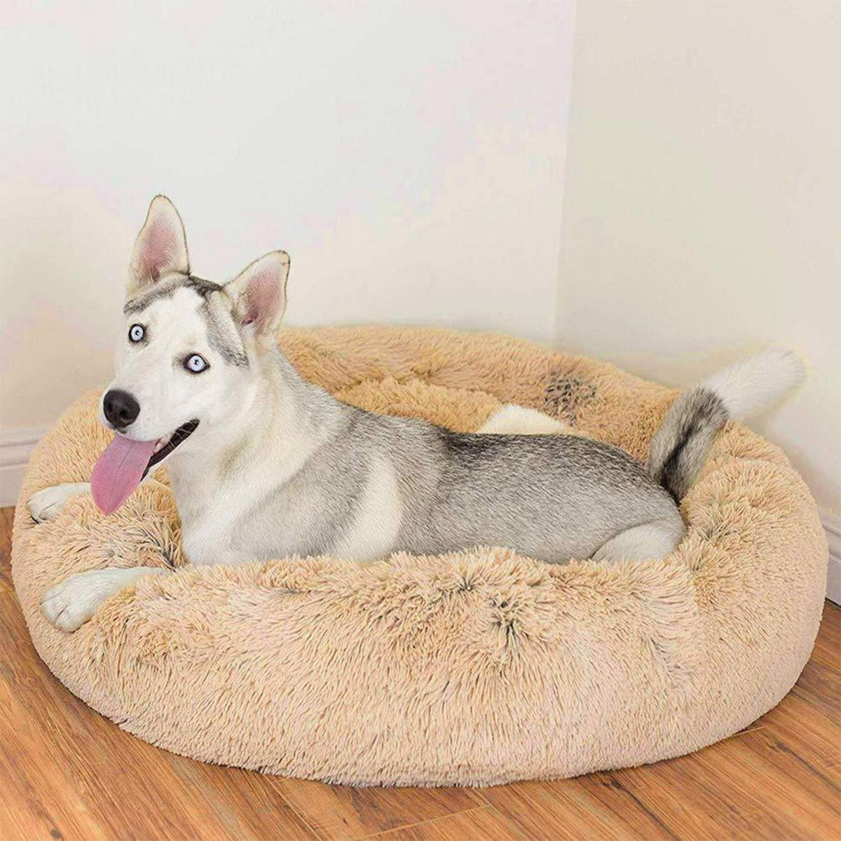 Orthopädisches Hundebett XXL – Waschbar & Kuschelig