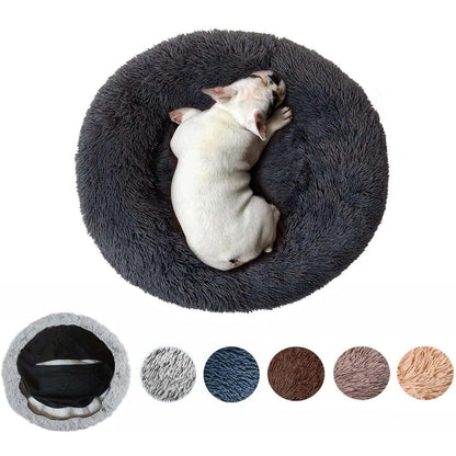 Orthopädisches Hundebett XXL – Waschbar & Kuschelig