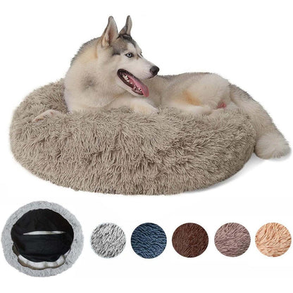Orthopädisches Hundebett XXL – Waschbar & Kuschelig