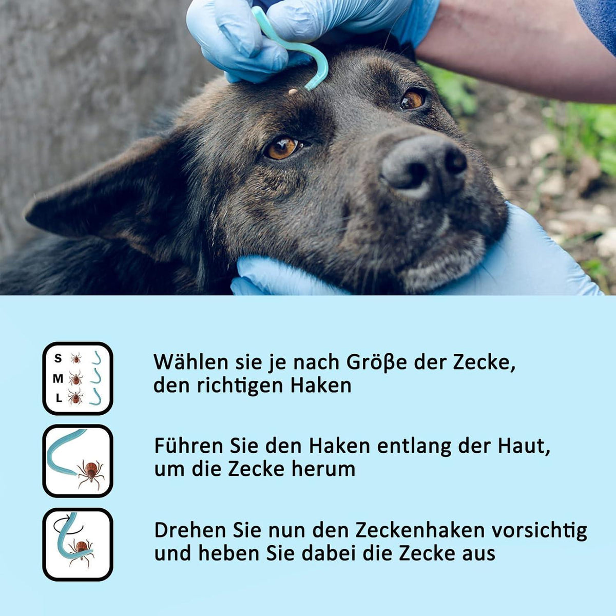 Zeckenzange Set für Hunde, Katzen & Menschen - 5er Pack Blau