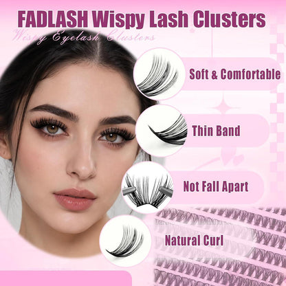 Volumen Cluster Wimpern 40D Schwarz 8-16mm Mischtray