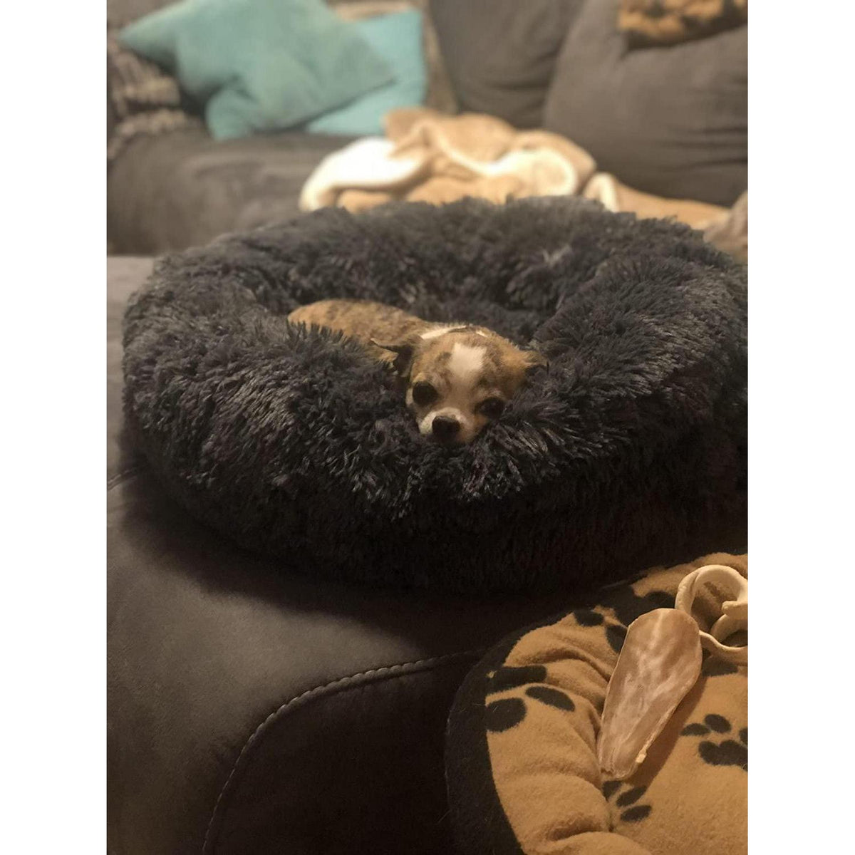 Flauschiges Hundebett Orthopädisch für Große Hunde Schwarz 100cm