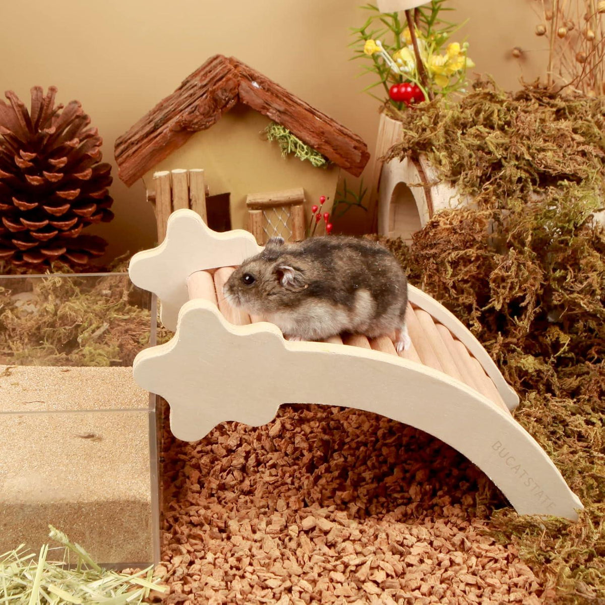 Hamster-Kletterleiter Holz Kletterspielzeug Brückendekoration Sternenmuster
